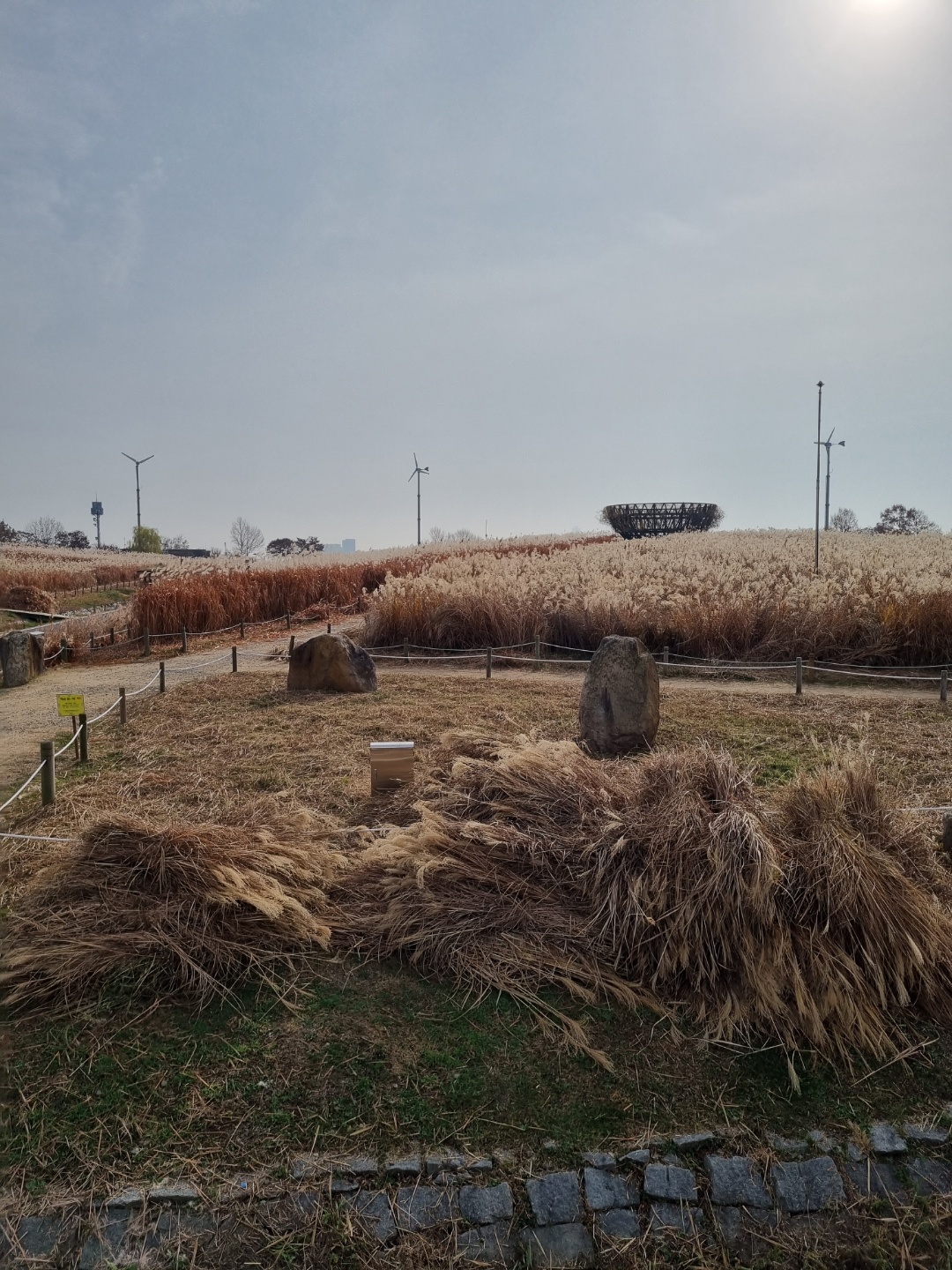 1948697120_SFvO4b5G_5b7723c86285f89c83fe3eb00cfd58dc33df1cf1.jpg 이미지크게보기