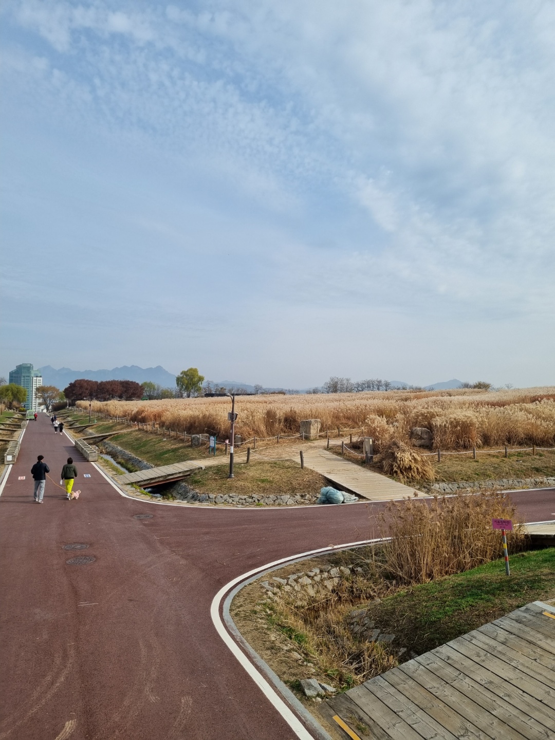 1948697120_r9oWDtQd_6060ce6909d410c50d607ff78c41265ce8b6a1aa.jpg 이미지크게보기